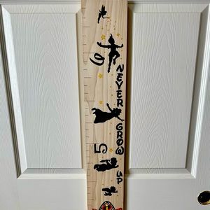 Disneyland height measuring board